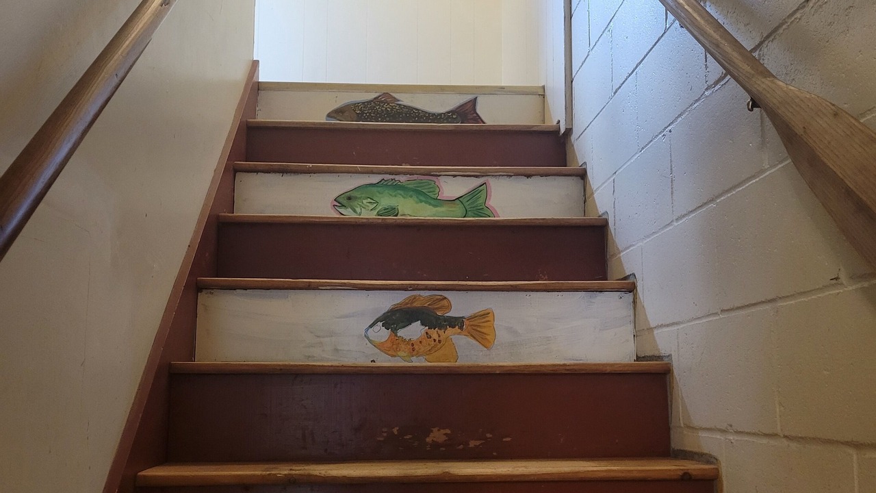 Photo of Others in Holderness