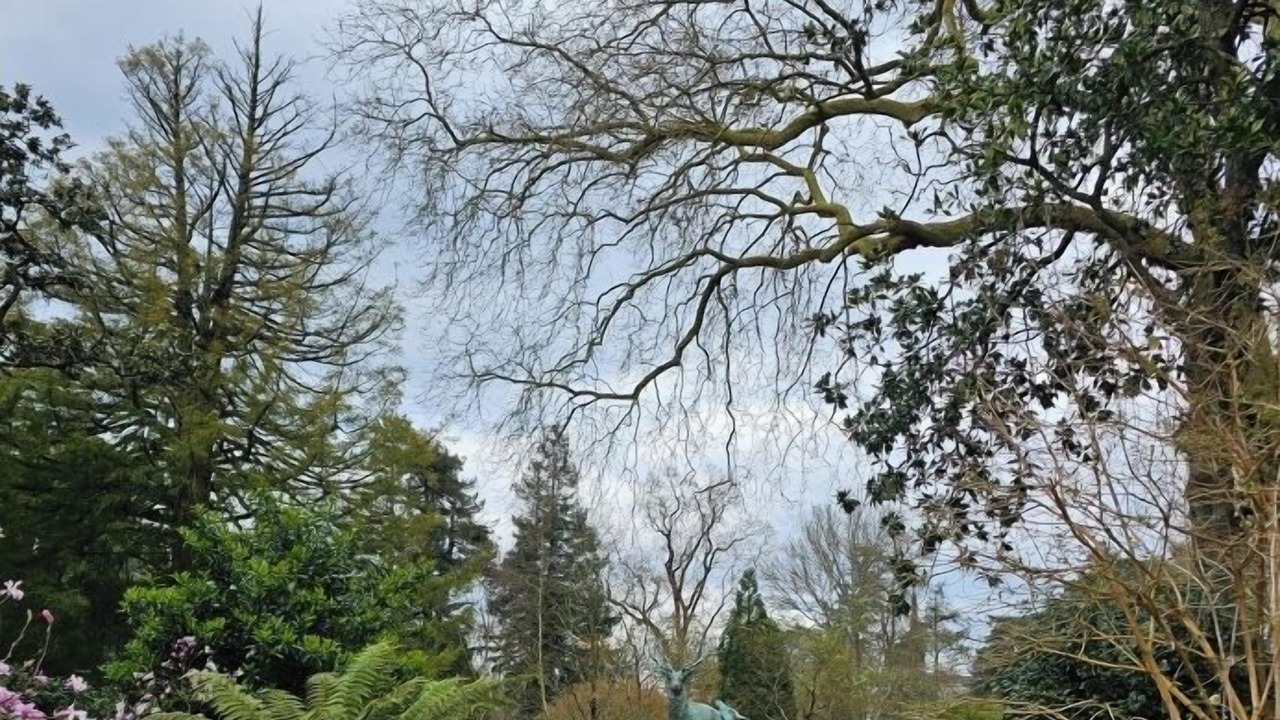 Photo of Outdoor in Richebourg - Saint-Clement