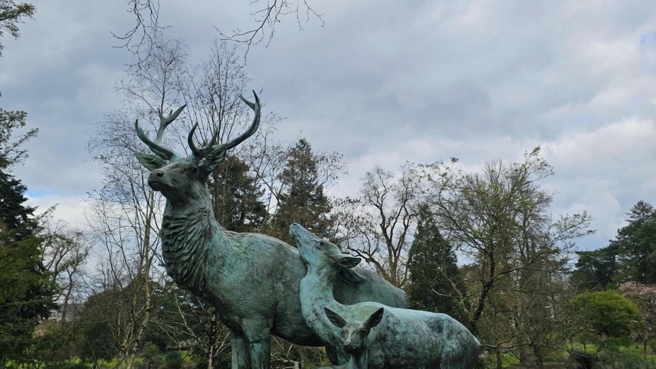 Photo of Outdoor in Richebourg - Saint-Clement