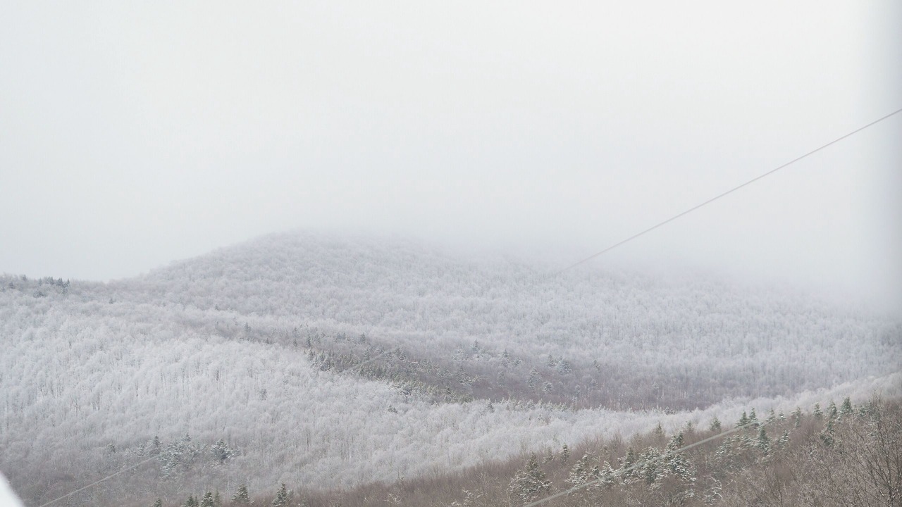Photo of Others in East Windham
