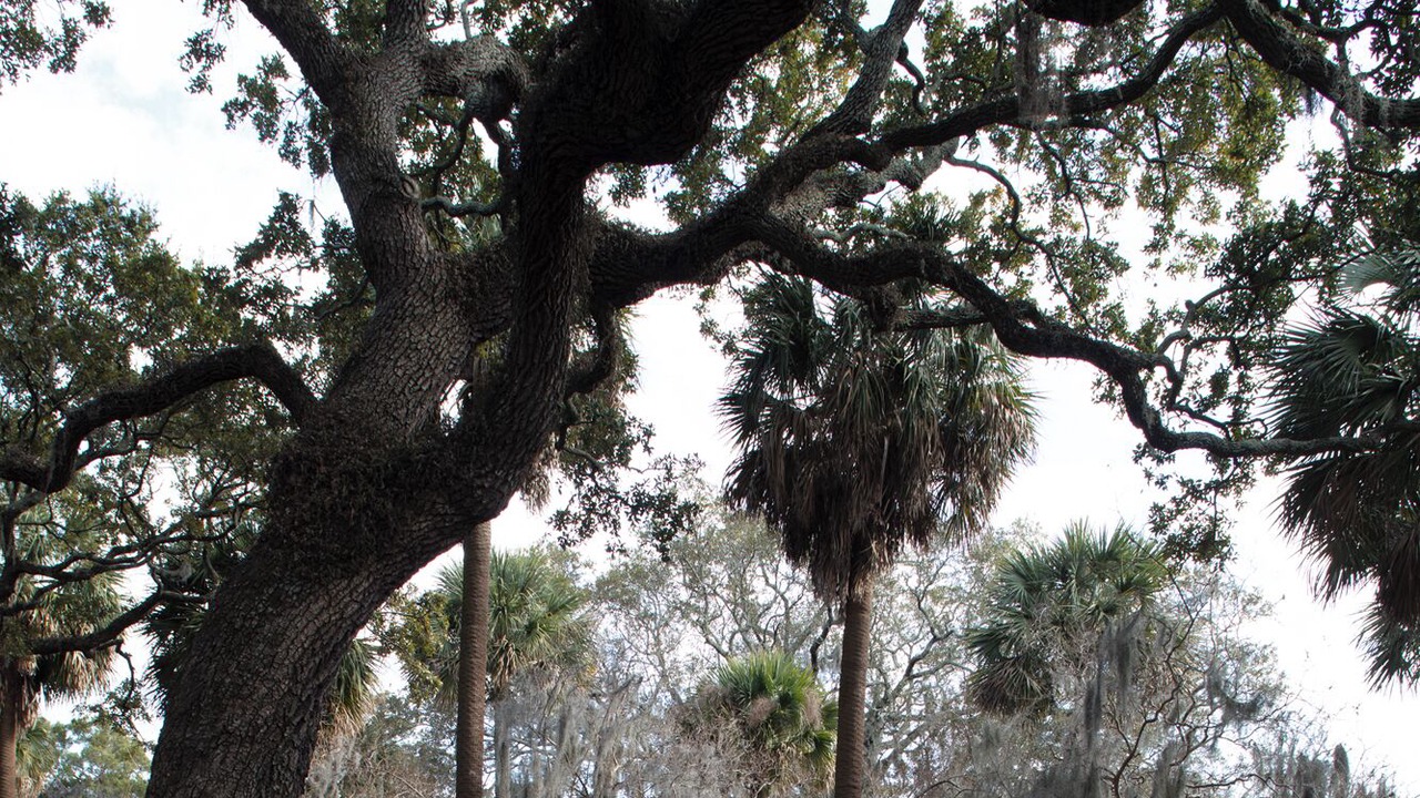 Photo of Outdoor in Historic District - North