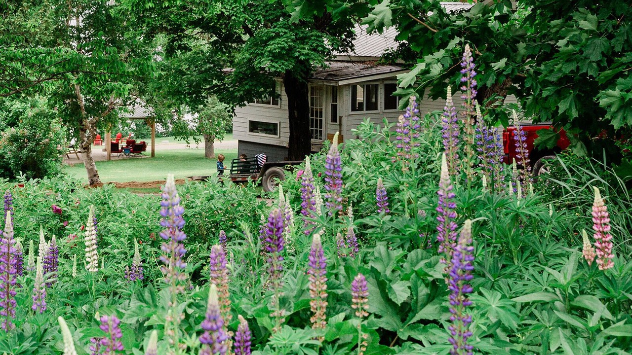 Photo of Outdoor in Portage Lake