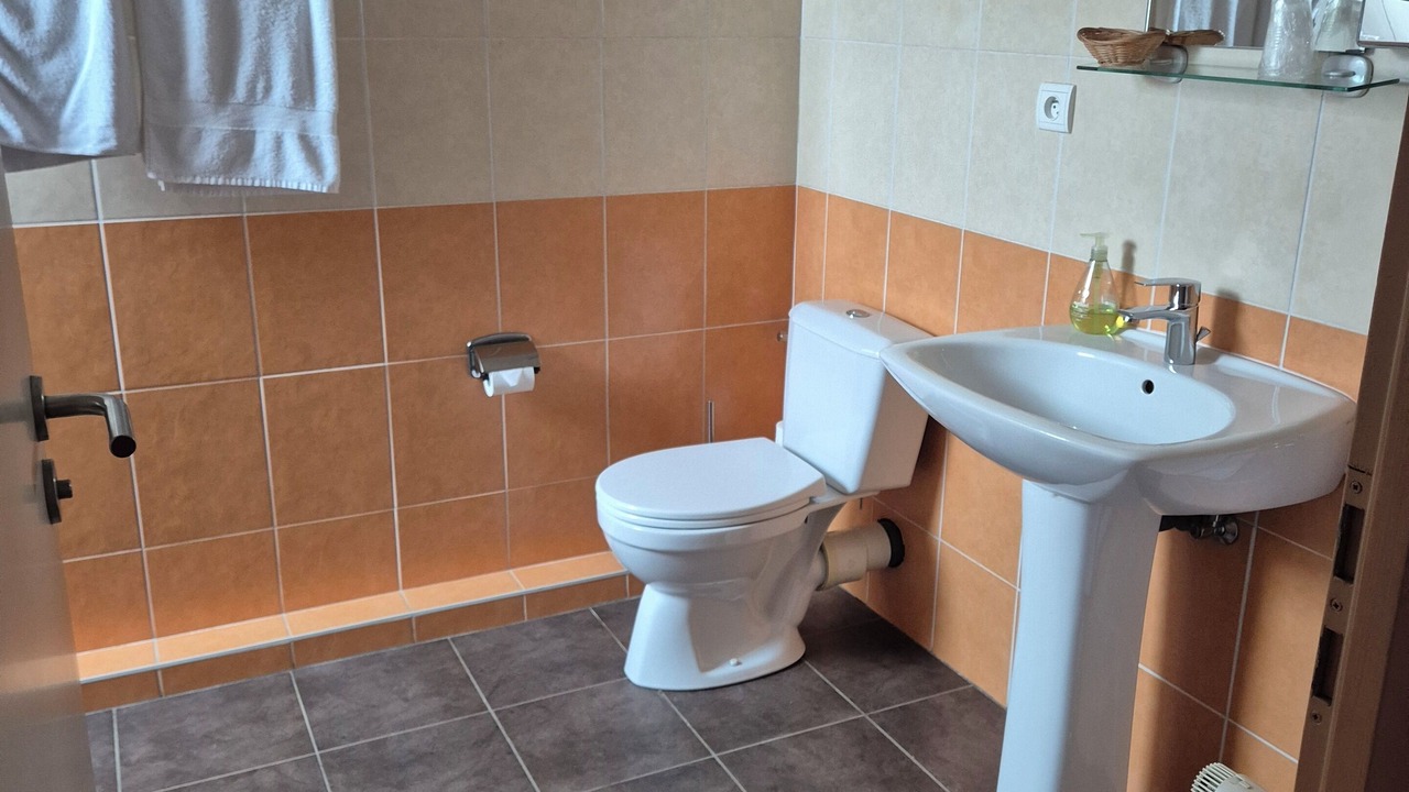 Photo of Bathroom in Battenheim