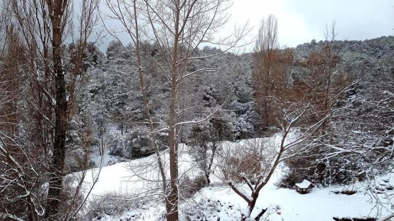Photo of Outdoor in La Hueta