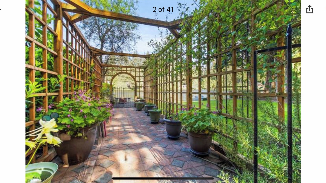 Photo of Outdoor in East Olympia