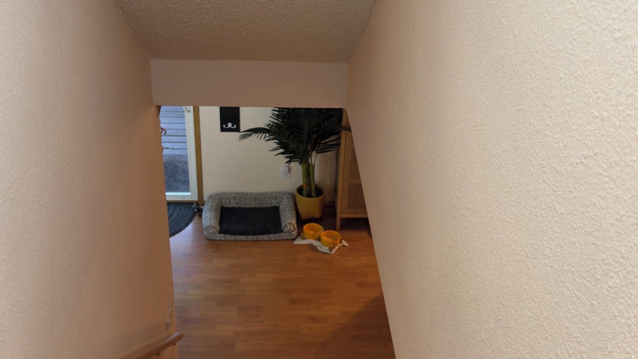 Photo of Others in East Olympia