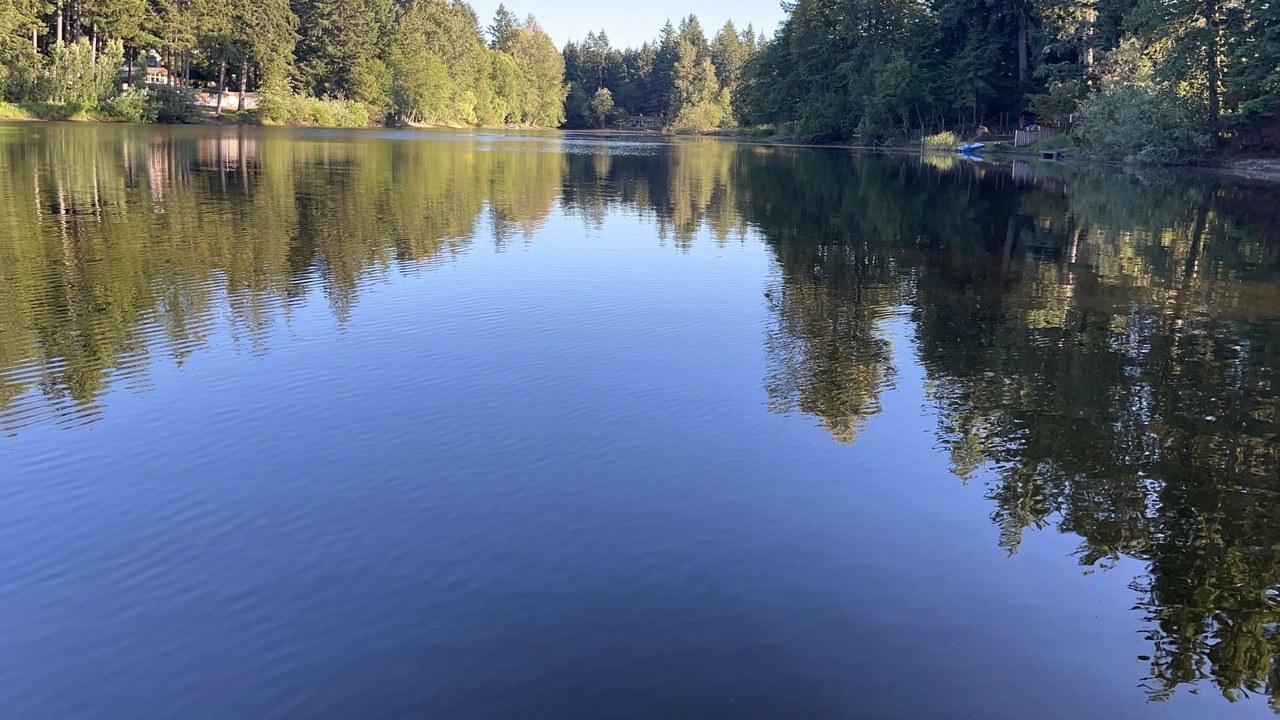 Photo of Others in East Olympia