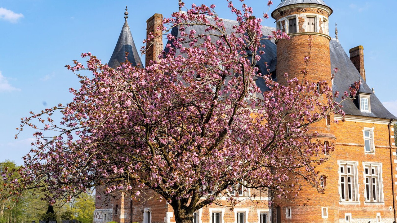 Photo of Outdoor in Boissey-le-Chatel