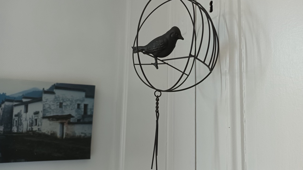 Photo of Others in Saint-Leonard-de-Noblat