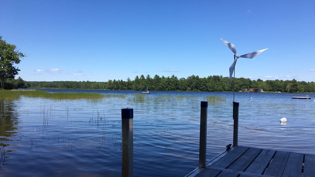 Photo of Others in Damariscotta