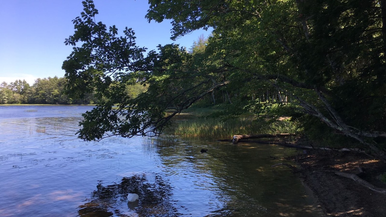 Photo of Others in Damariscotta