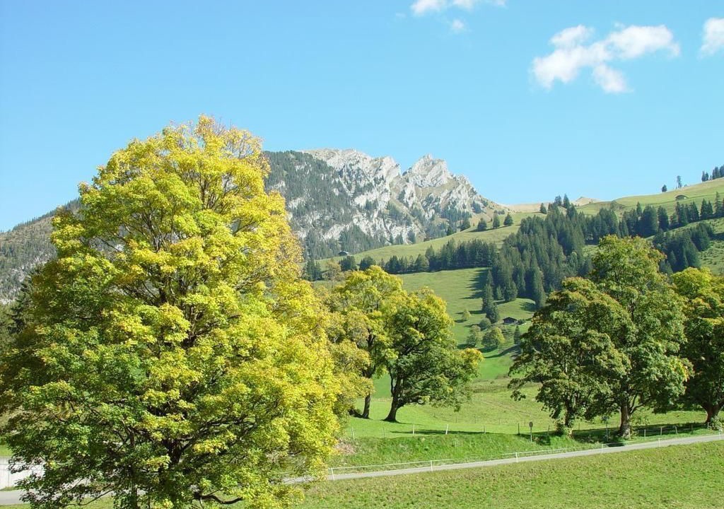 Photo of Others in Schwenden