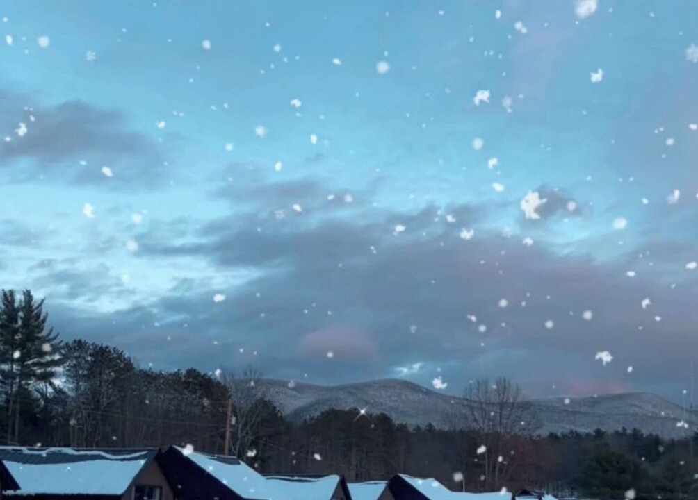 Photo of Others in Brandon