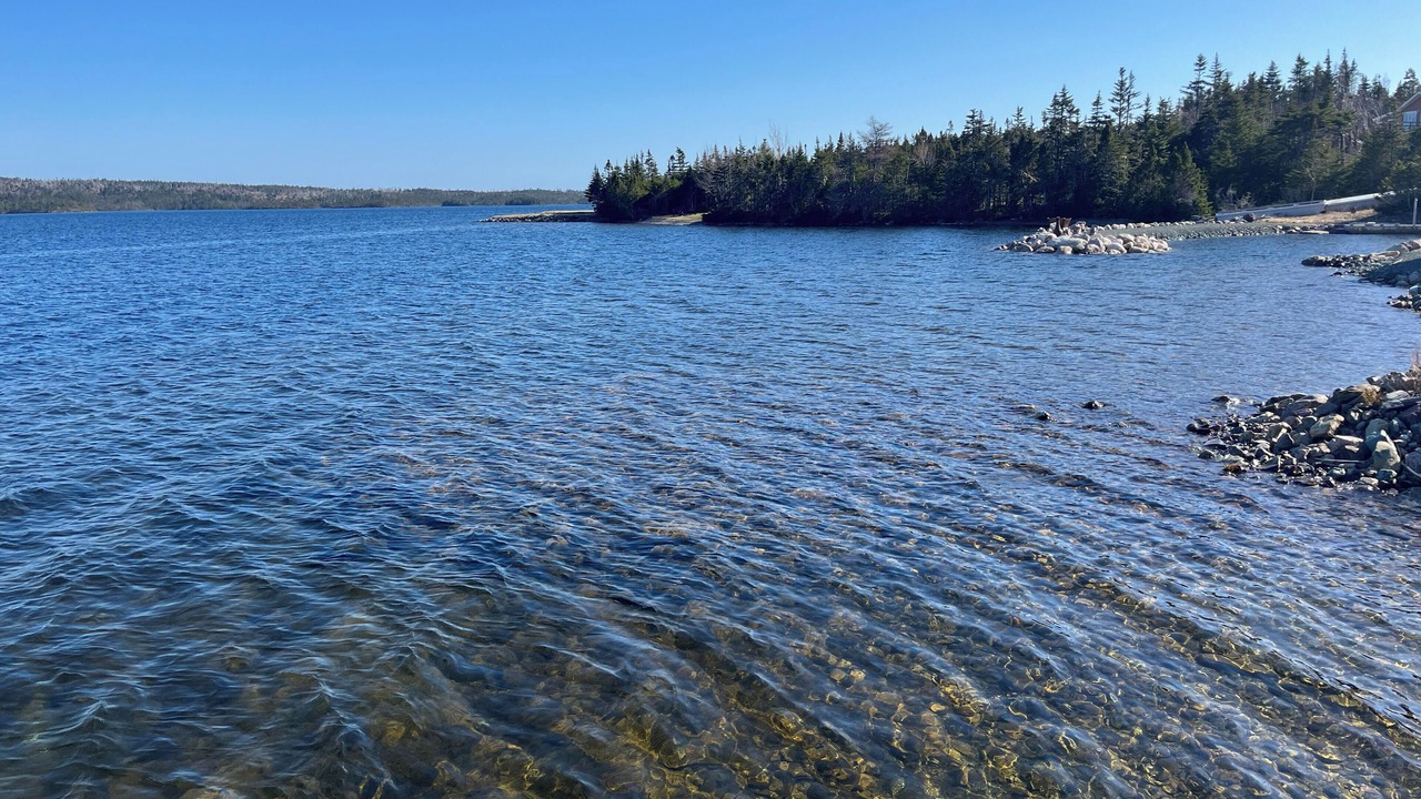 Photo of Others in Brigus Junction