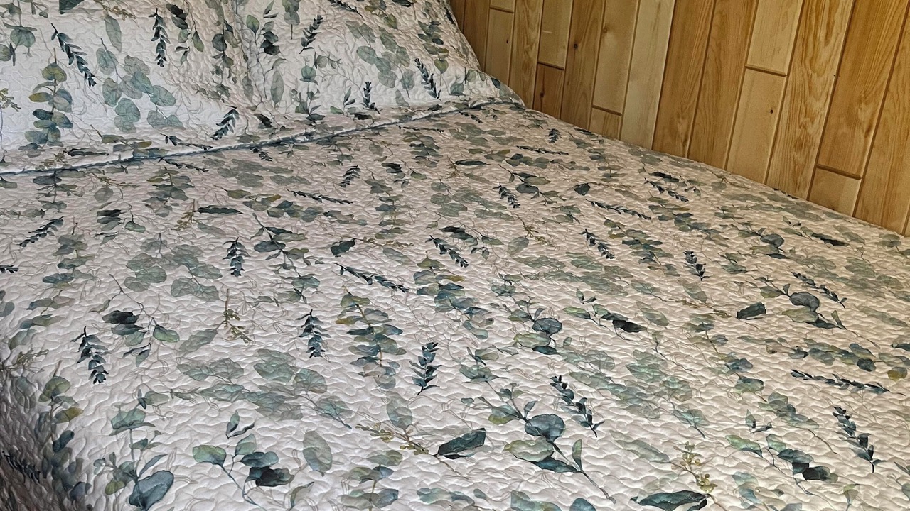 Photo of Others in Brigus Junction