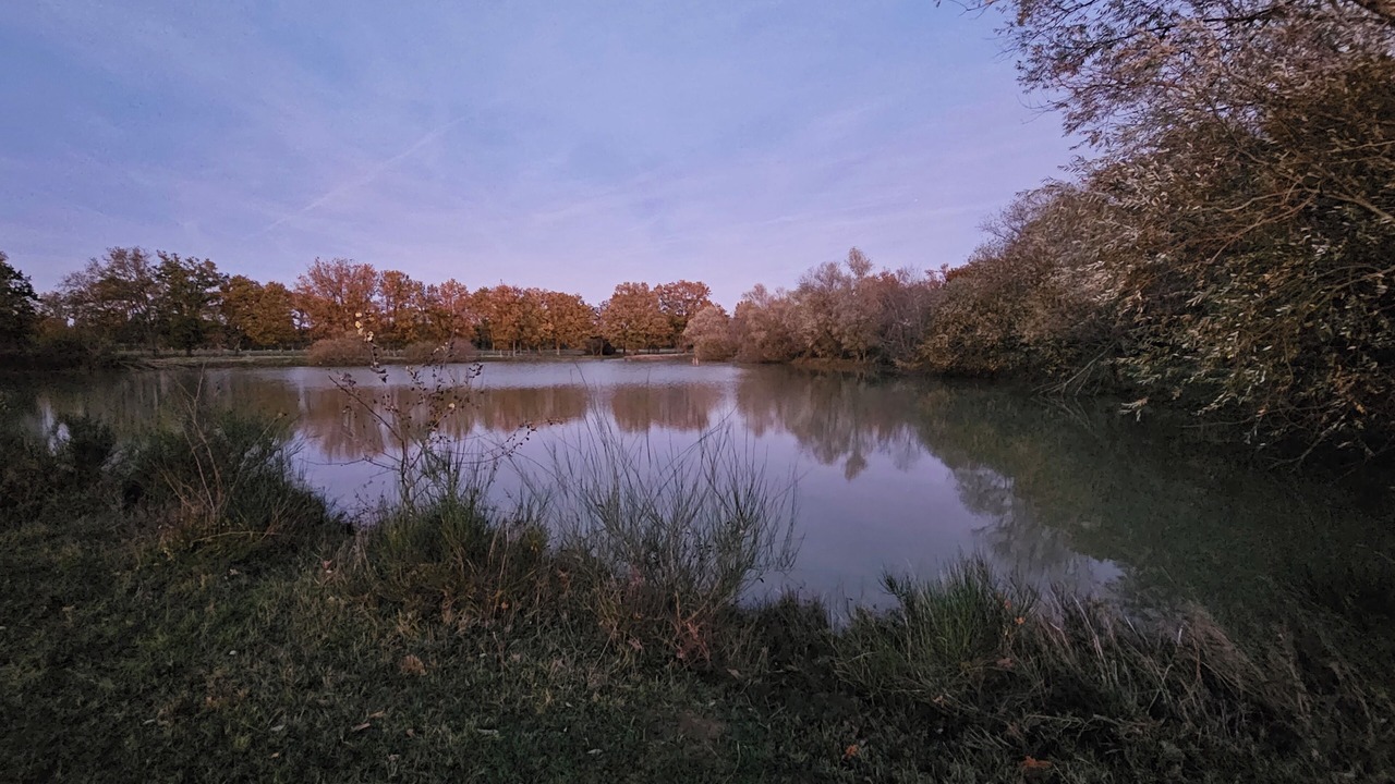 Photo of Others in Thaumiers