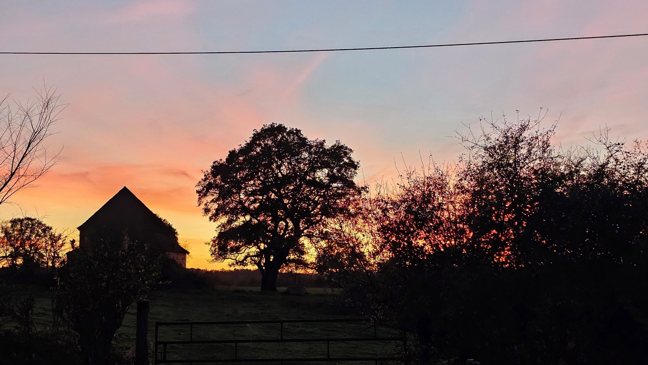 Photo of Others in Thaumiers