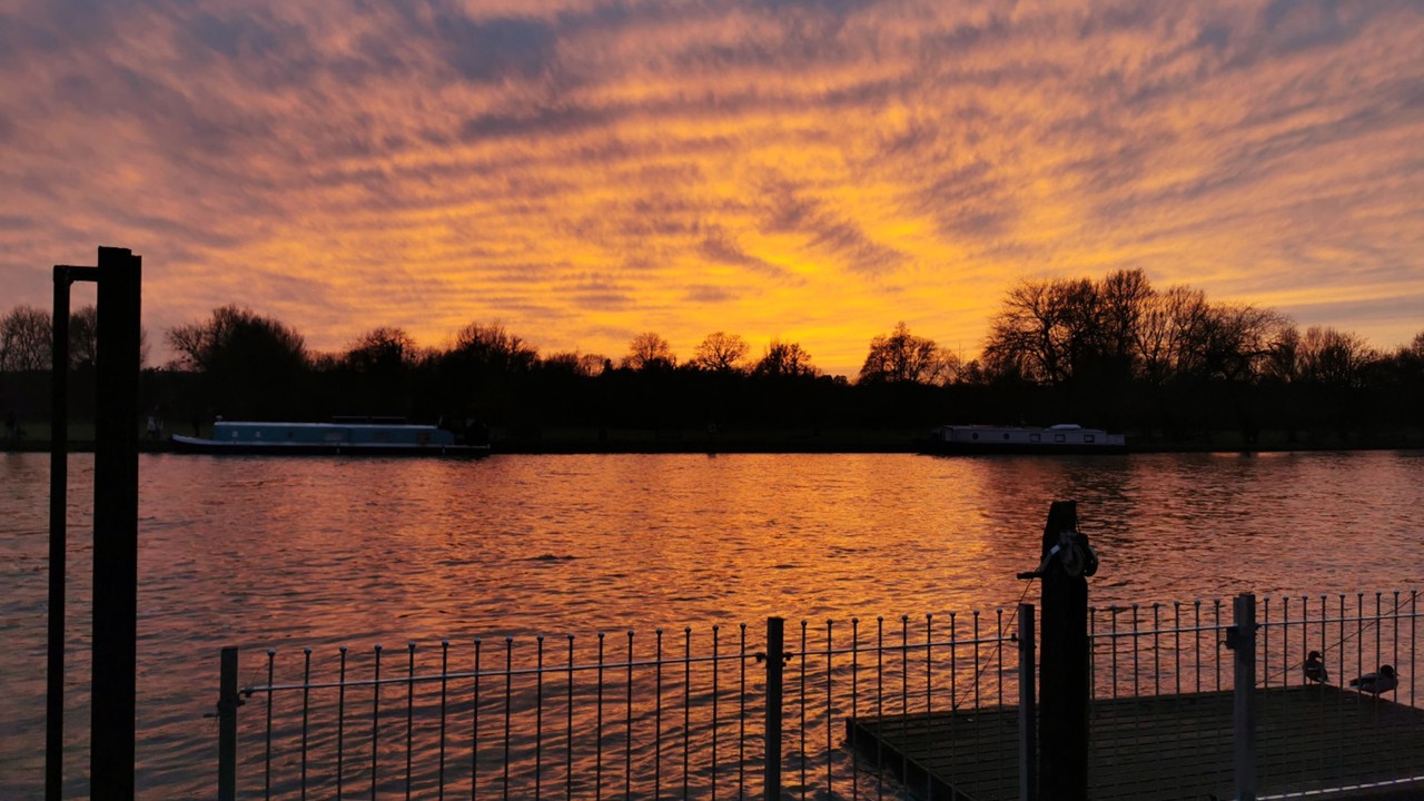 Photo of Others in Henley