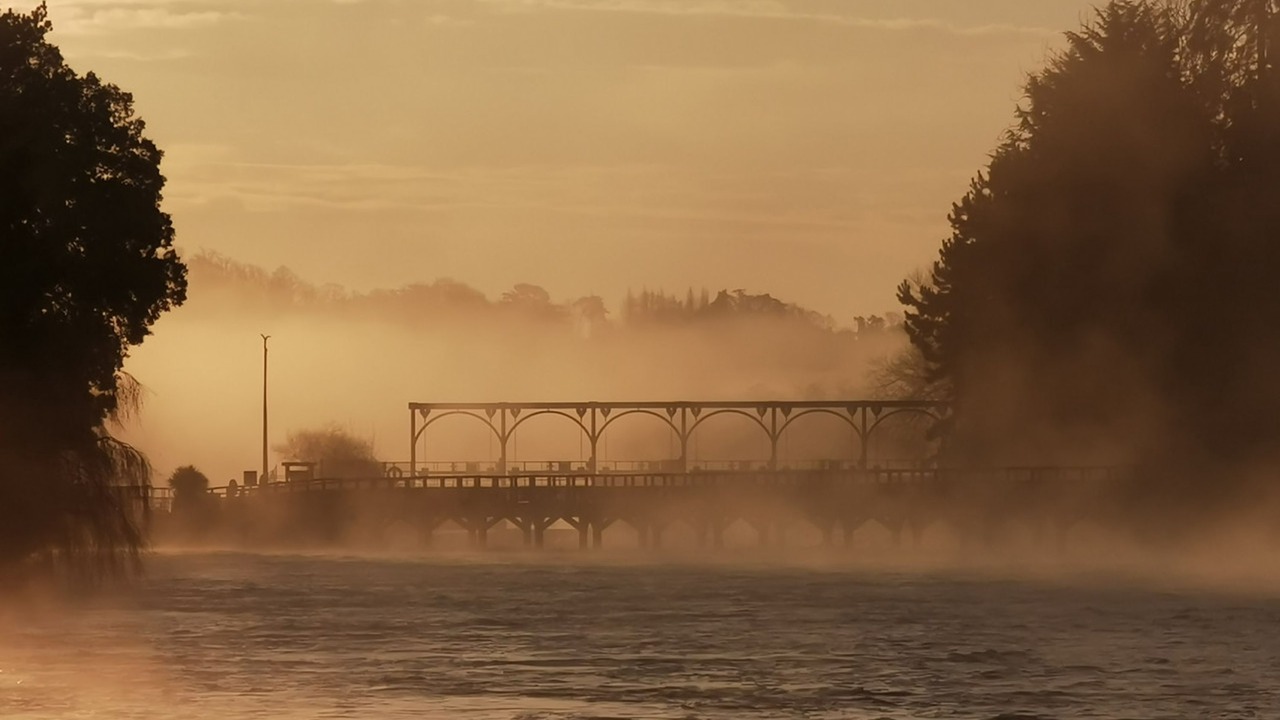 Photo of Others in Henley