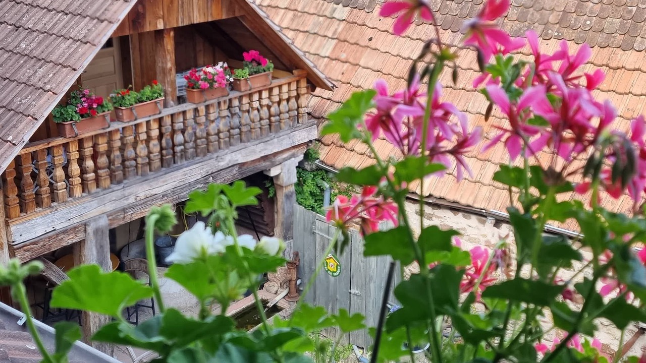 Photo of Outdoor in Beblenheim