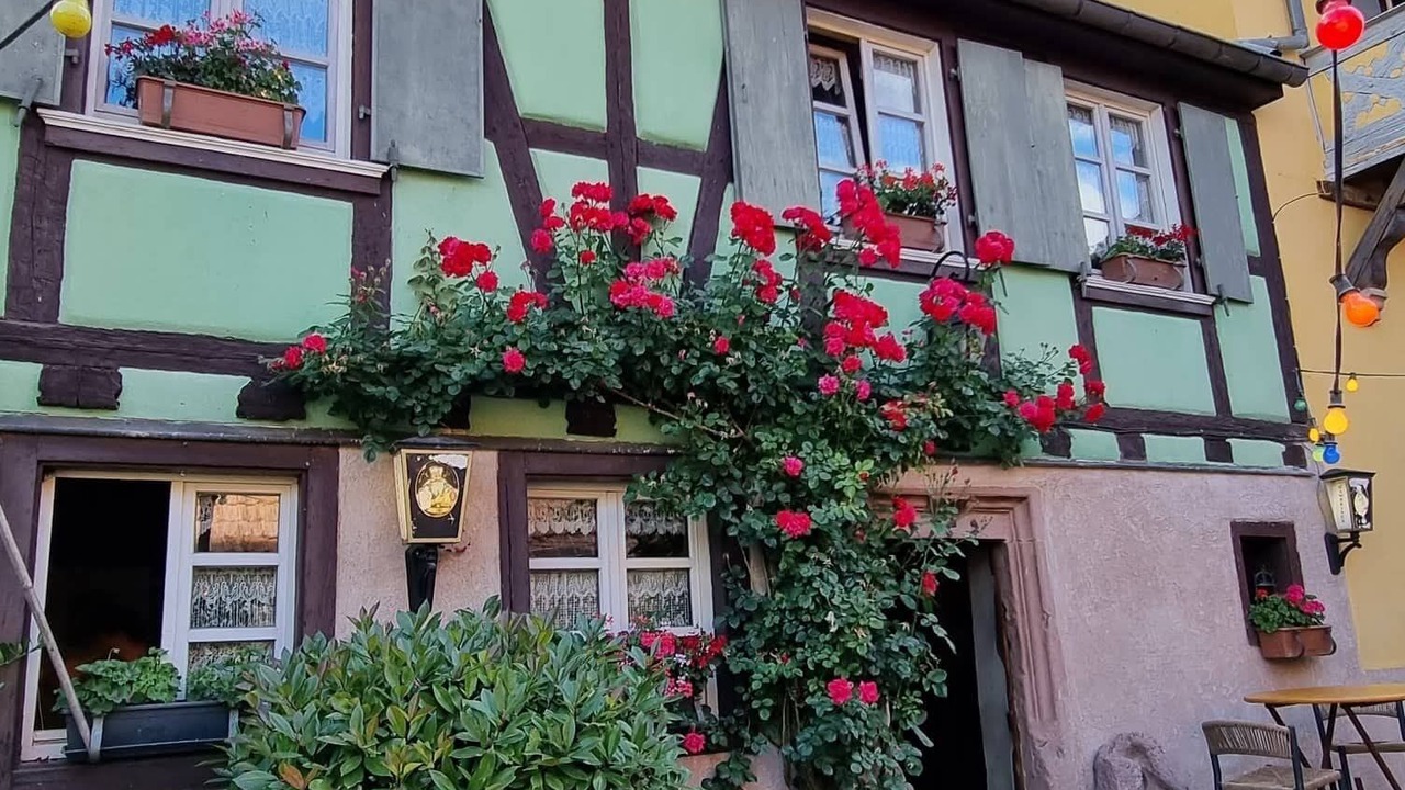 Photo of Outdoor in Beblenheim