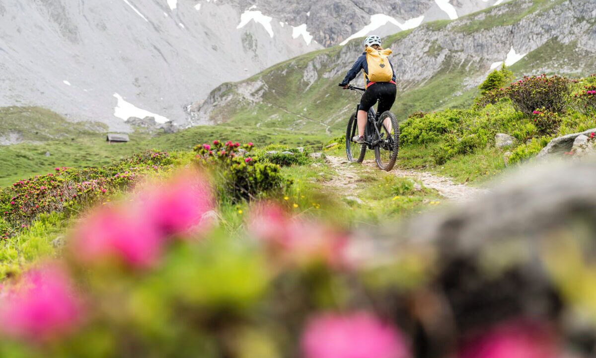 Photo of Outdoor in Arosa