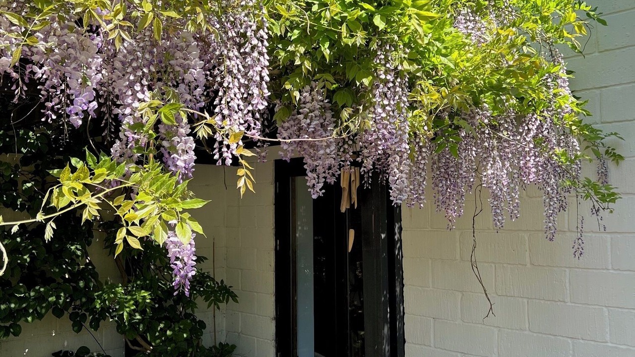 Photo of Patio Balcony in Svebolle