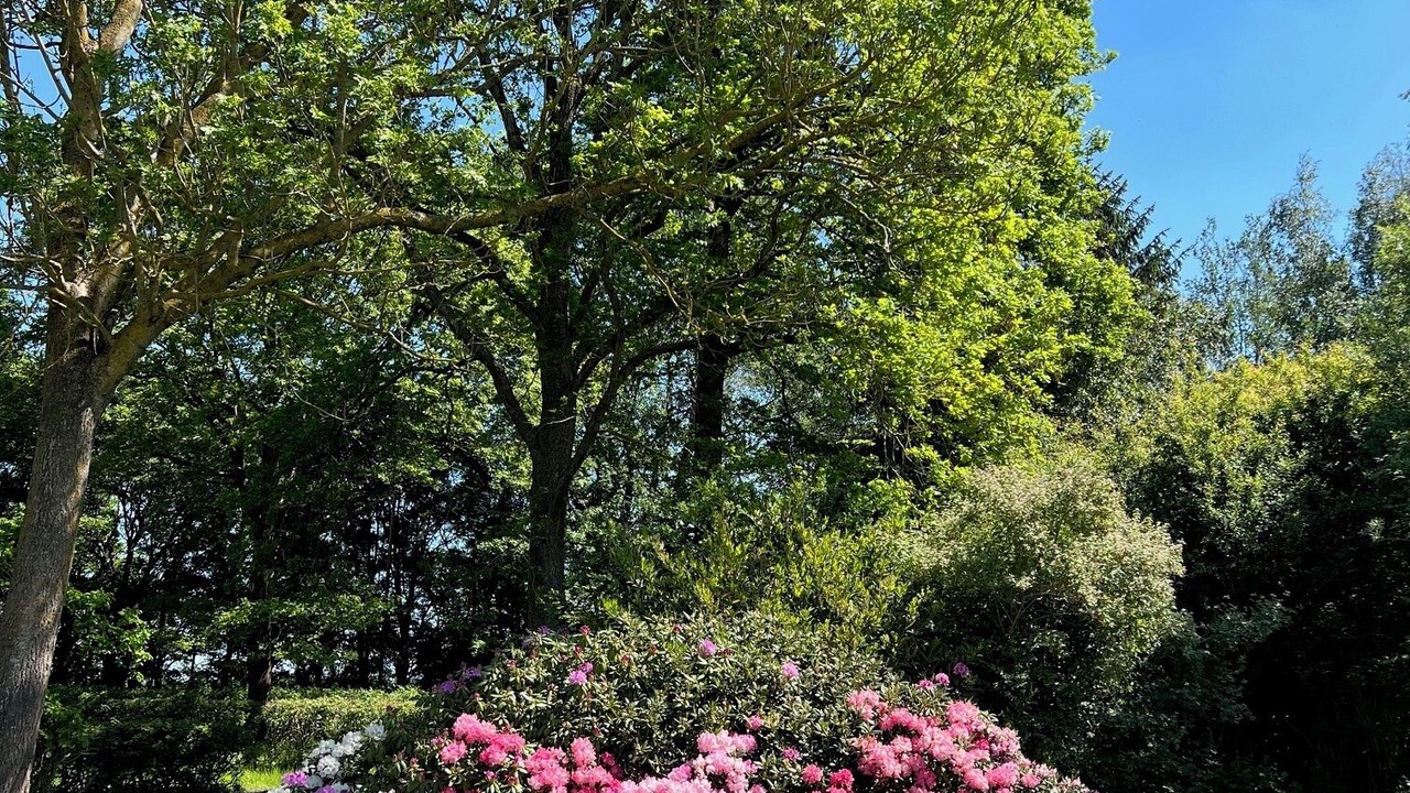 Photo of Outdoor in Svebolle