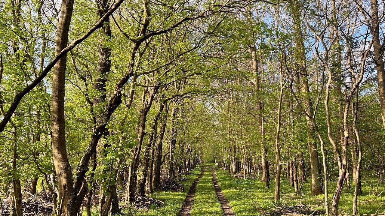 Photo of Outdoor in Svebolle