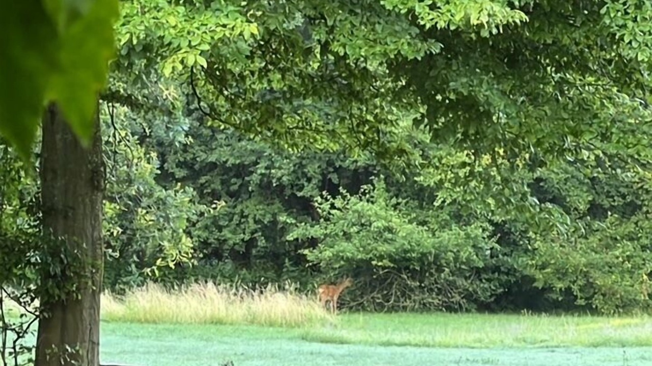 Photo of Outdoor in Svebolle