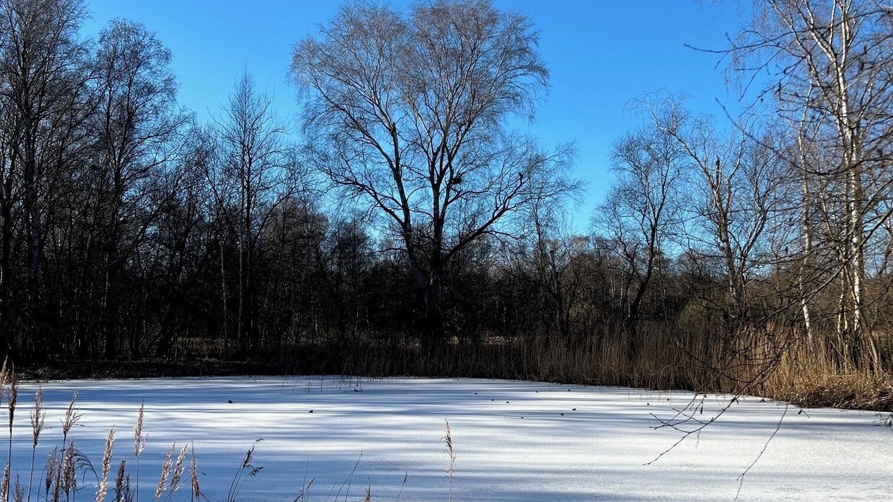 Photo of Outdoor in Svebolle