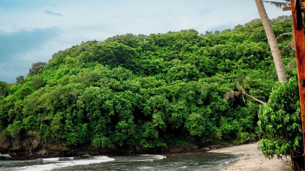 Photo of Others in Penida Island