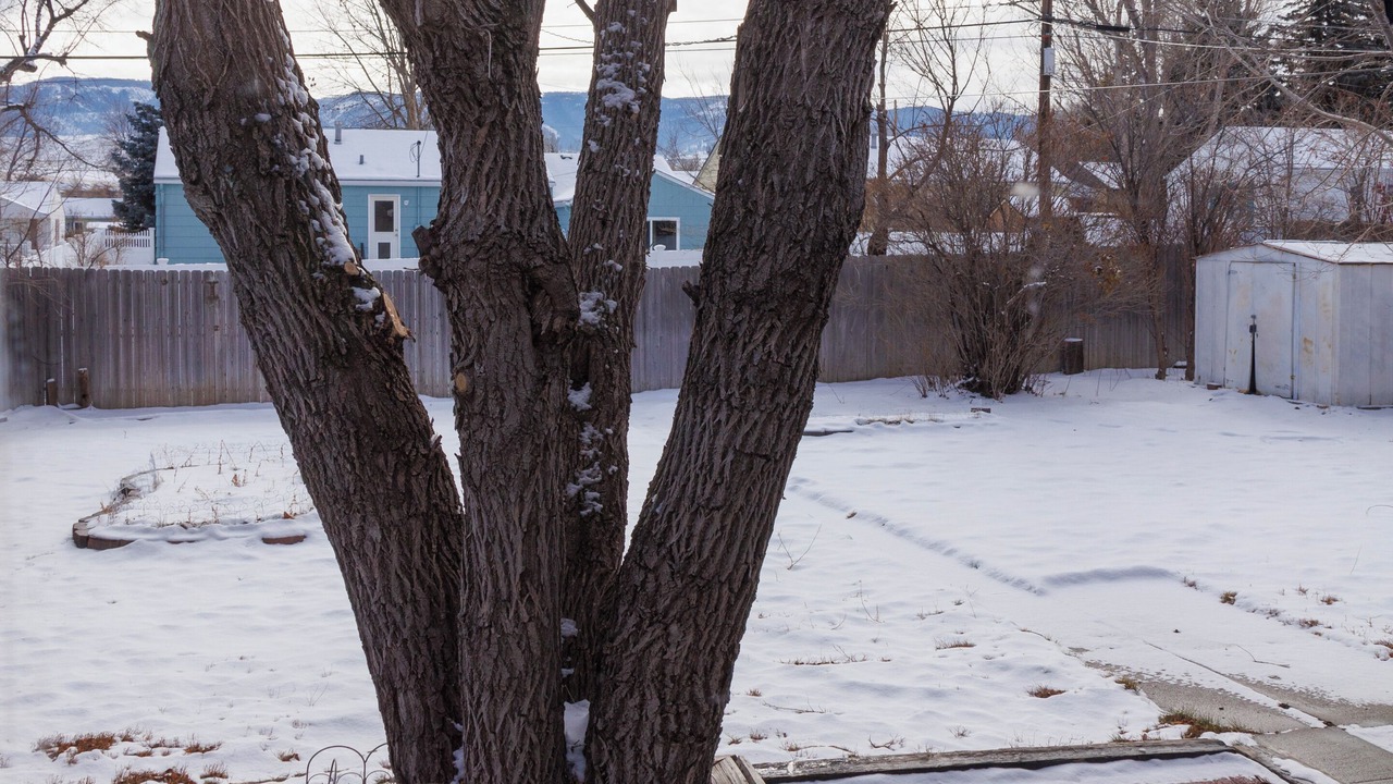 Photo of Outdoor in Casper