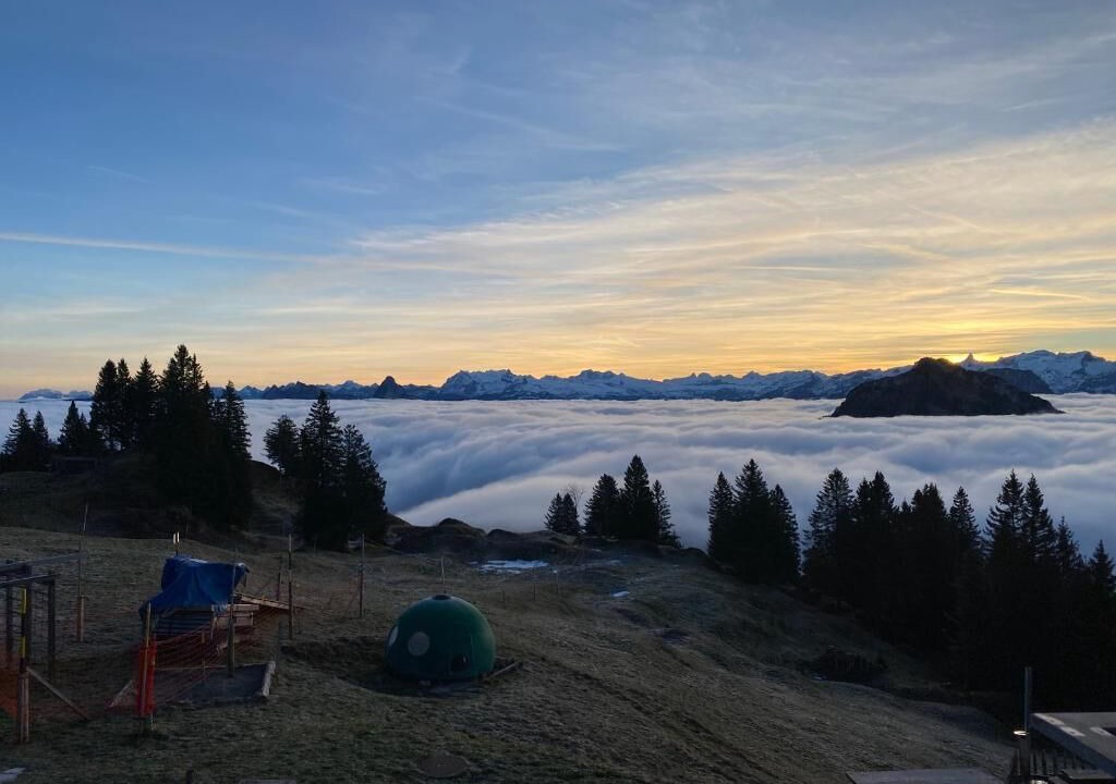 Photo of Others in Gersau