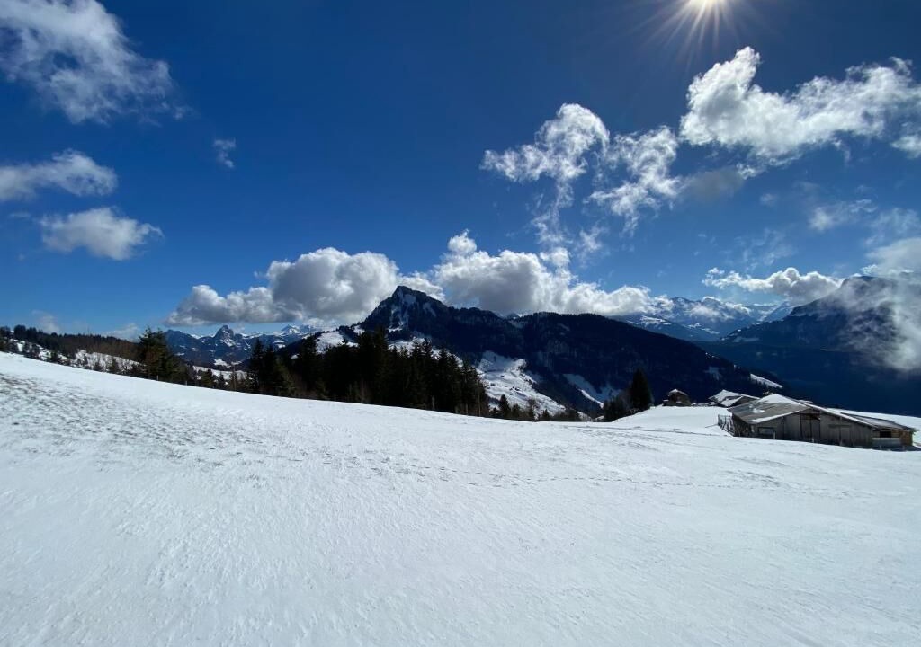 Photo of Others in Gersau