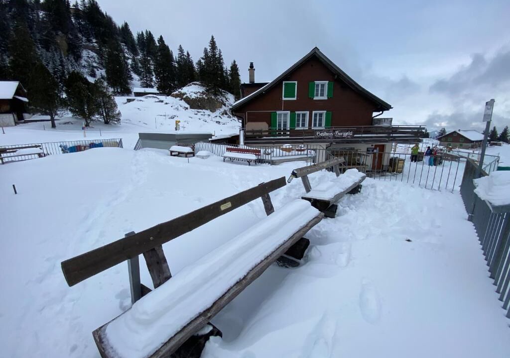 Photo of Others in Gersau