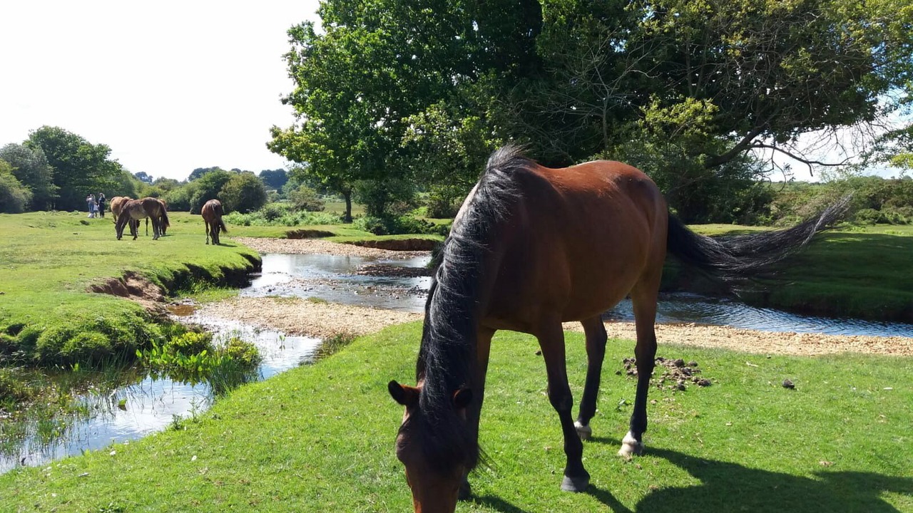 Photo of Outdoor in Stuckton