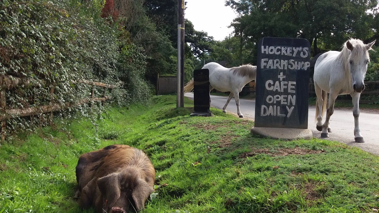 Photo of Outdoor in Stuckton