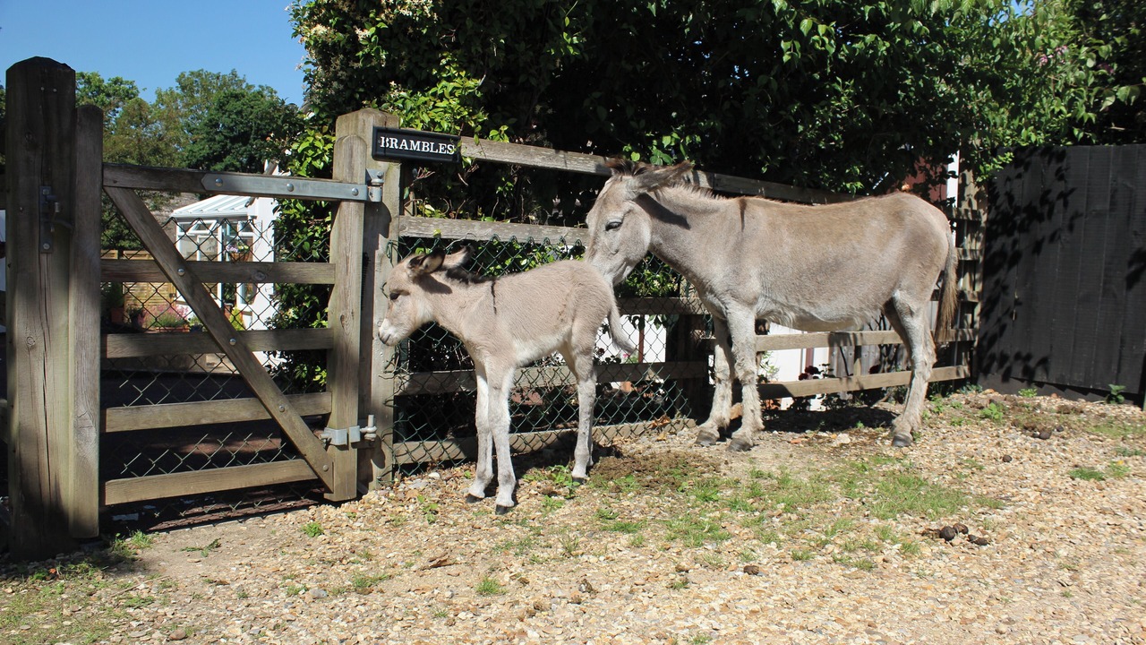 Photo of Outdoor in Stuckton