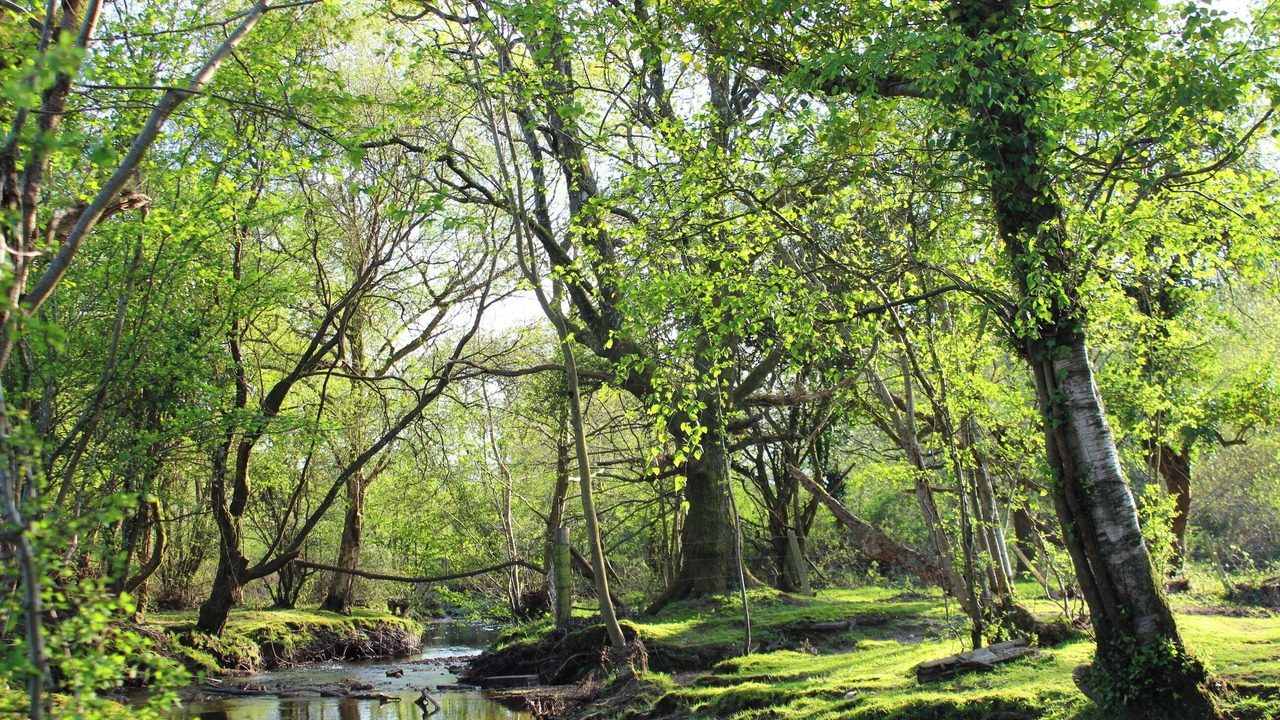 Photo of Outdoor in Stuckton