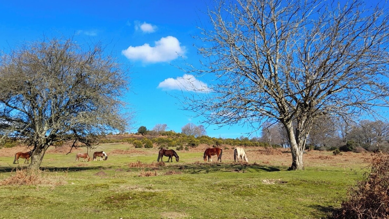 Photo of Outdoor in Stuckton