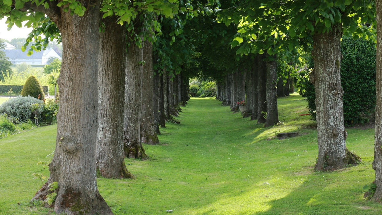 Photo of Outdoor in Bayeux