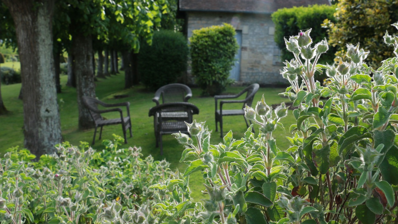 Photo of Outdoor in Bayeux