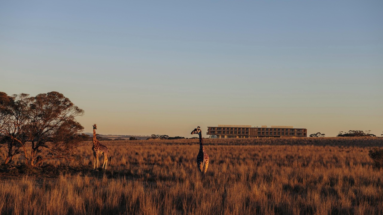 Photo of Outdoor in Monarto