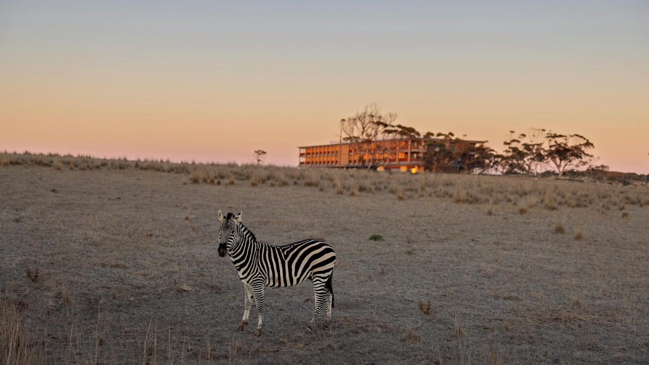 Photo of Others in Monarto