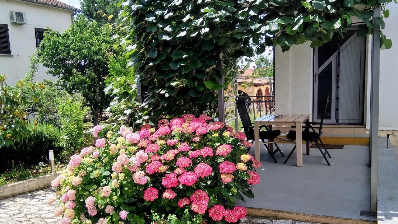 Photo of Outdoor in Rovinjsko Selo