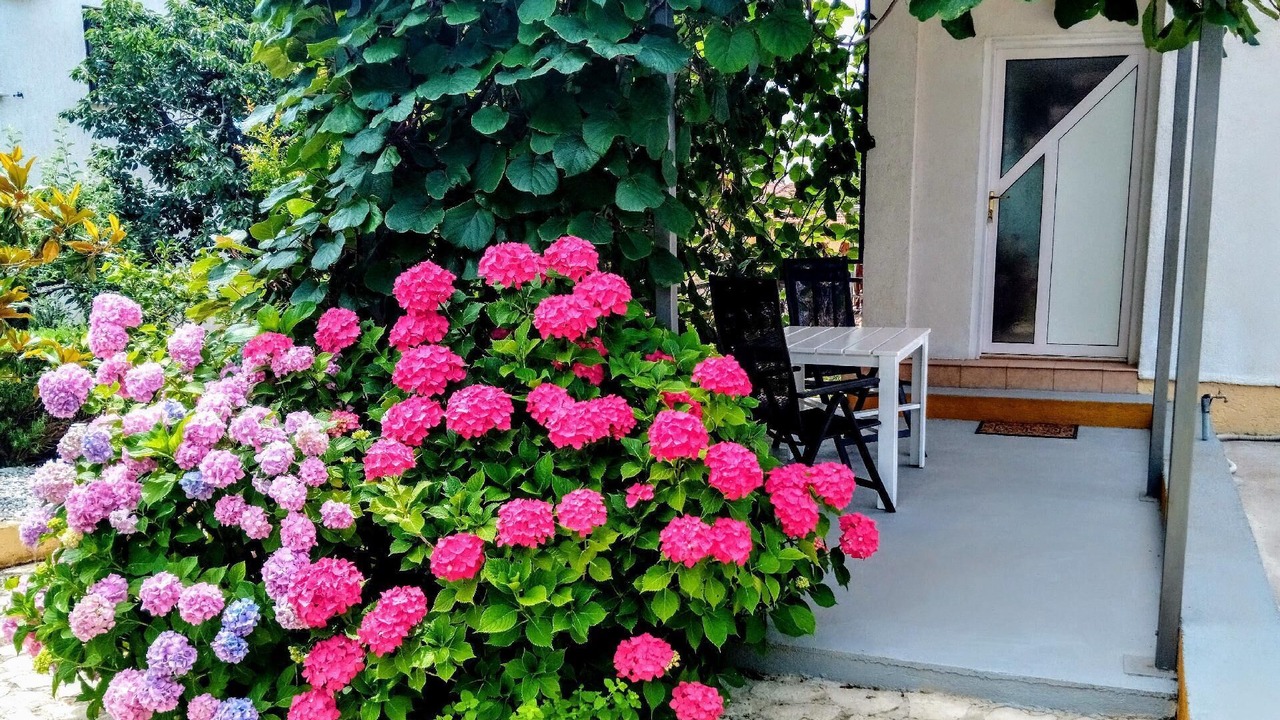 Photo of Patio Balcony in Rovinjsko Selo