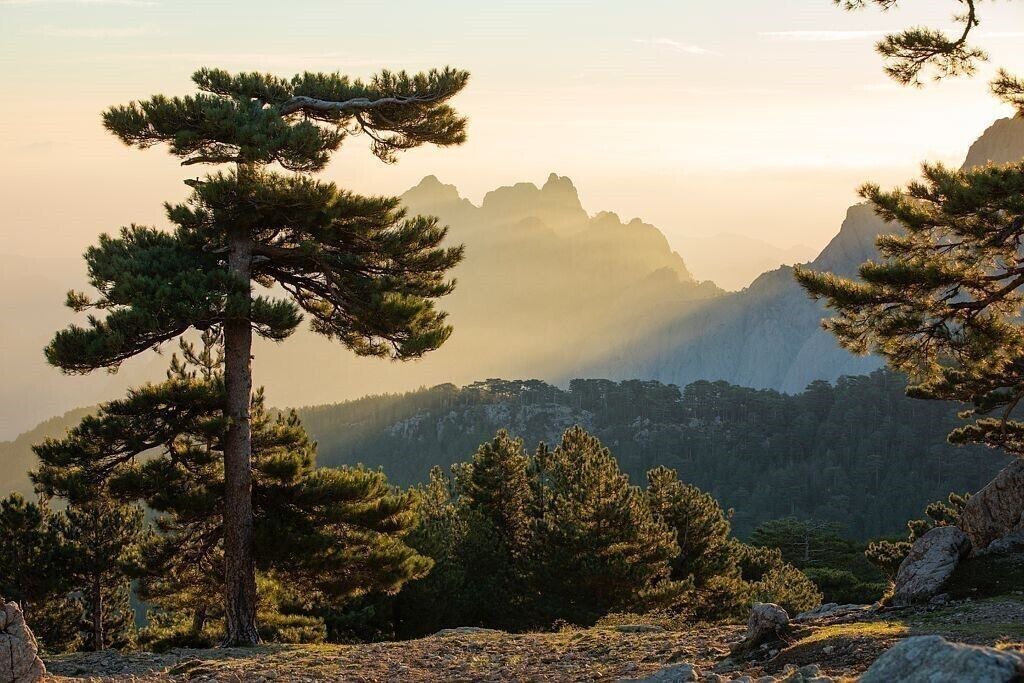 Photo of Outdoor in Zonza