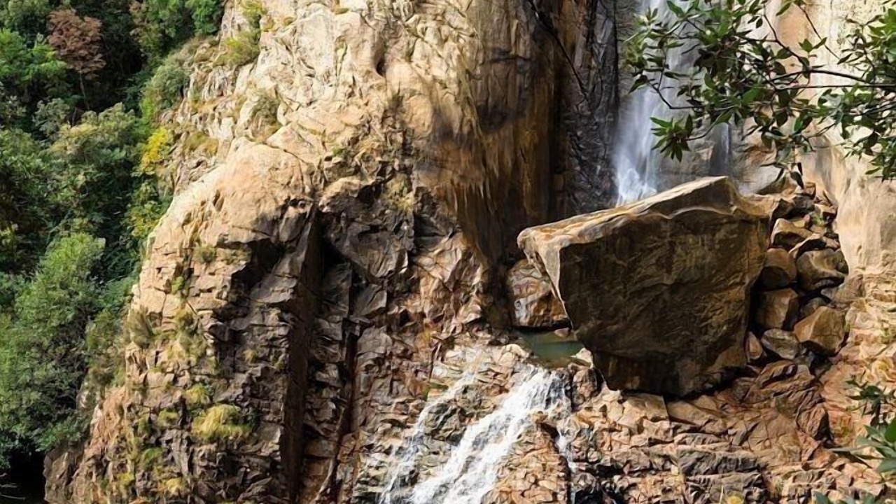 Photo of Outdoor in Zonza