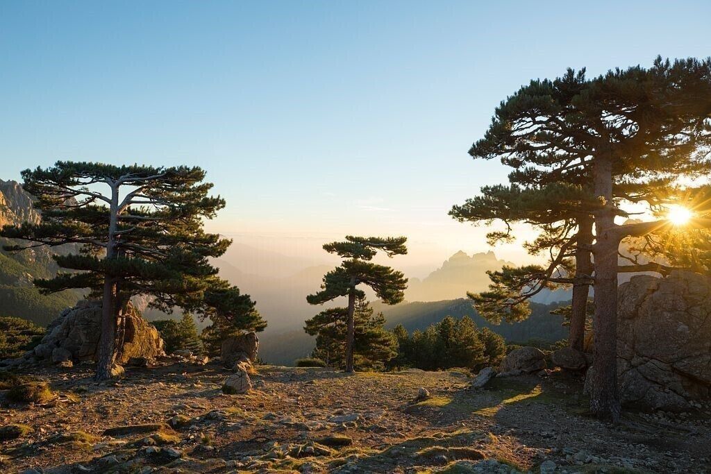 Photo of Outdoor in Zonza